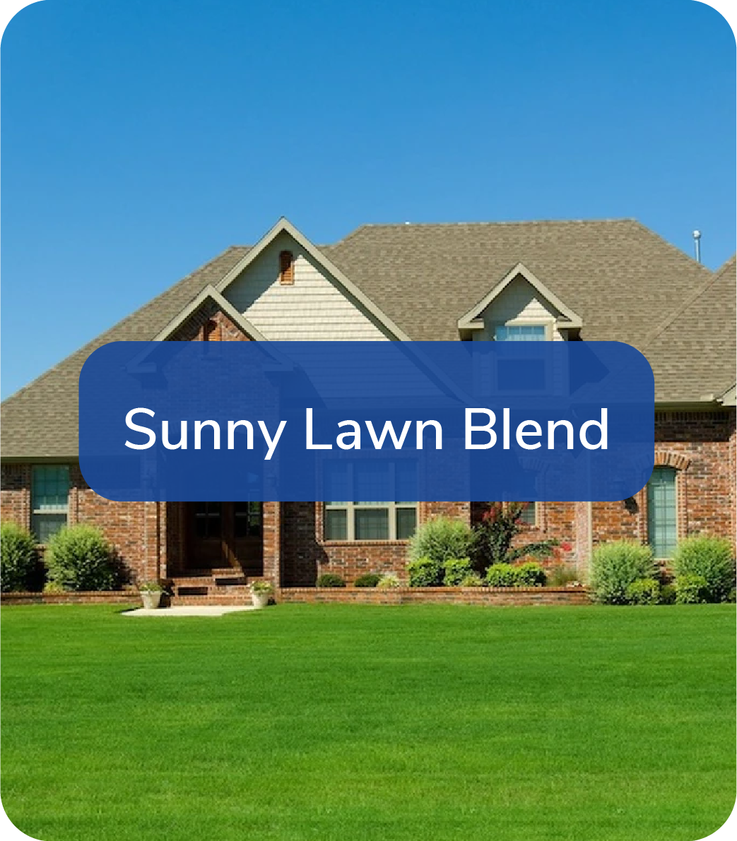 sunny lawn blend