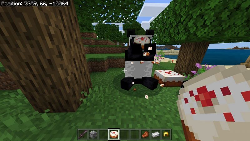 Panda eating dropped cake in minecraft