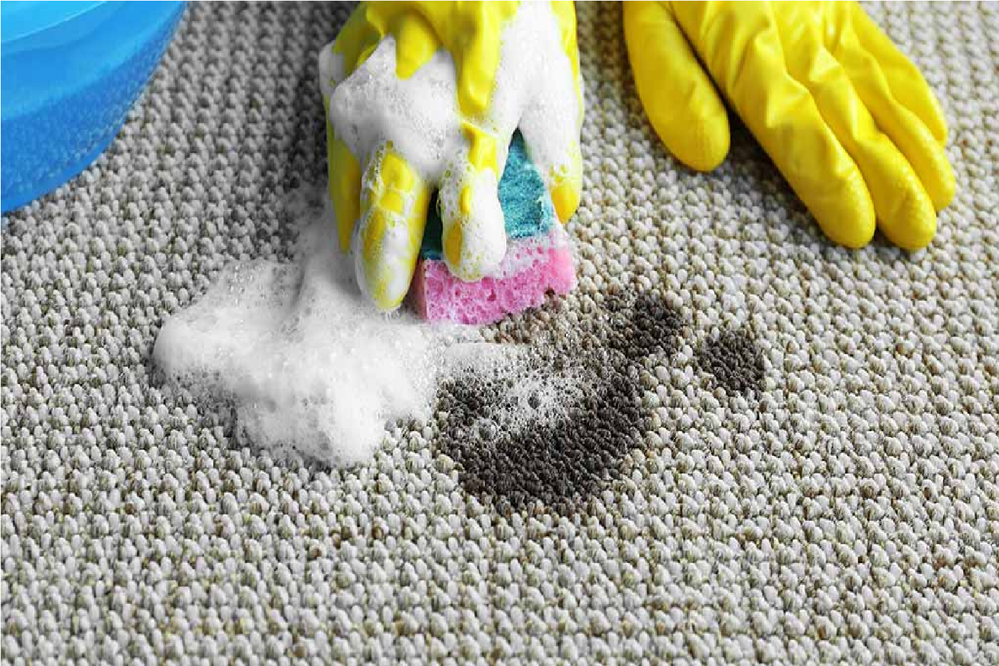  carpet shoe polish stains