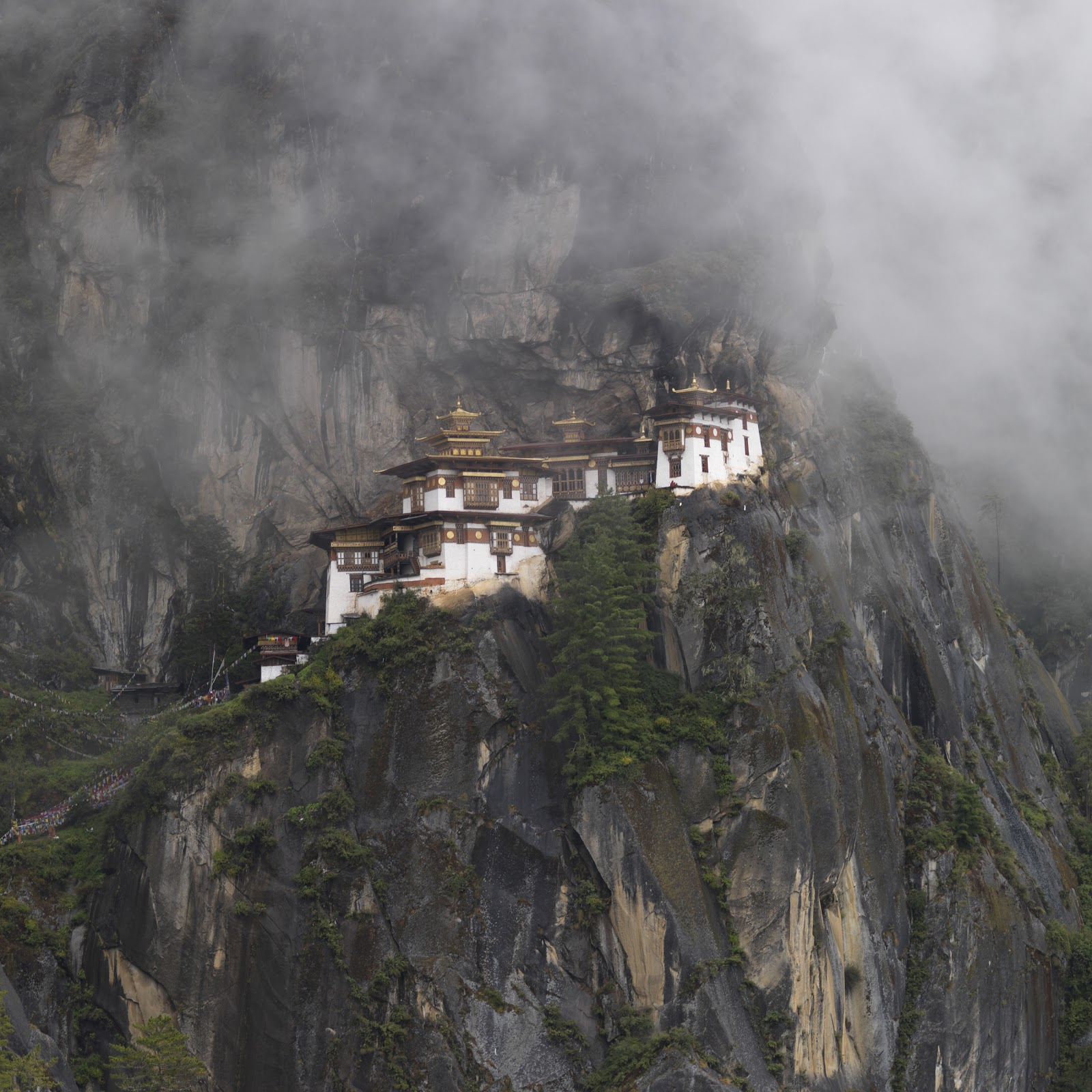 Six Cultural Festivals of Bhutan that you should never miss