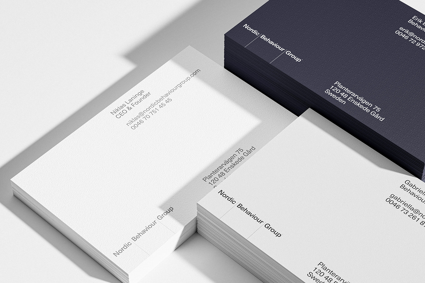 Branding and visual identity artifact from NBG project