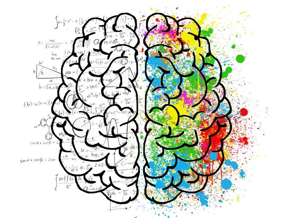 Sketch of a brain. Left side of the brain is filled with math formulas; right side of the brain is painted in multicolors. 