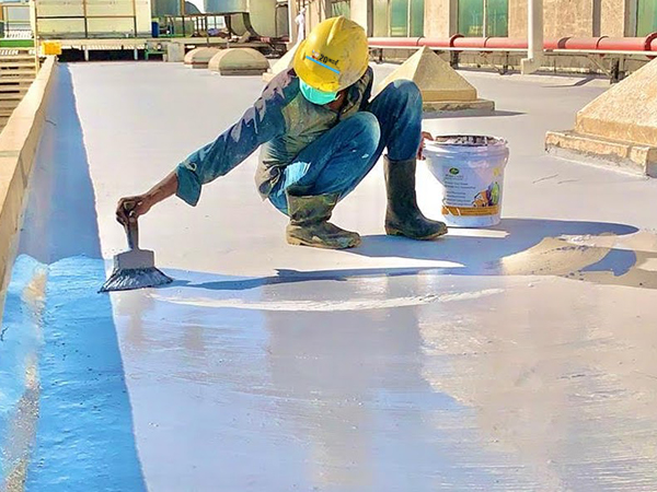 20MCC - Roof Waterproofing Specialist and Expert
