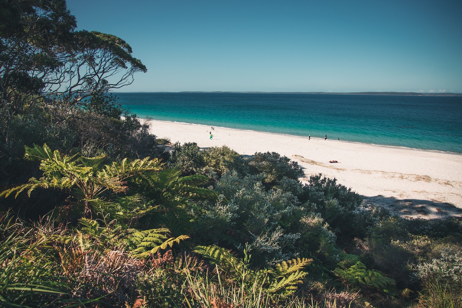 jervis bay secluded beach turquoise water green plants white sand australia