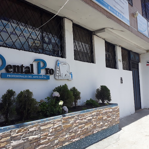 Dental Pro