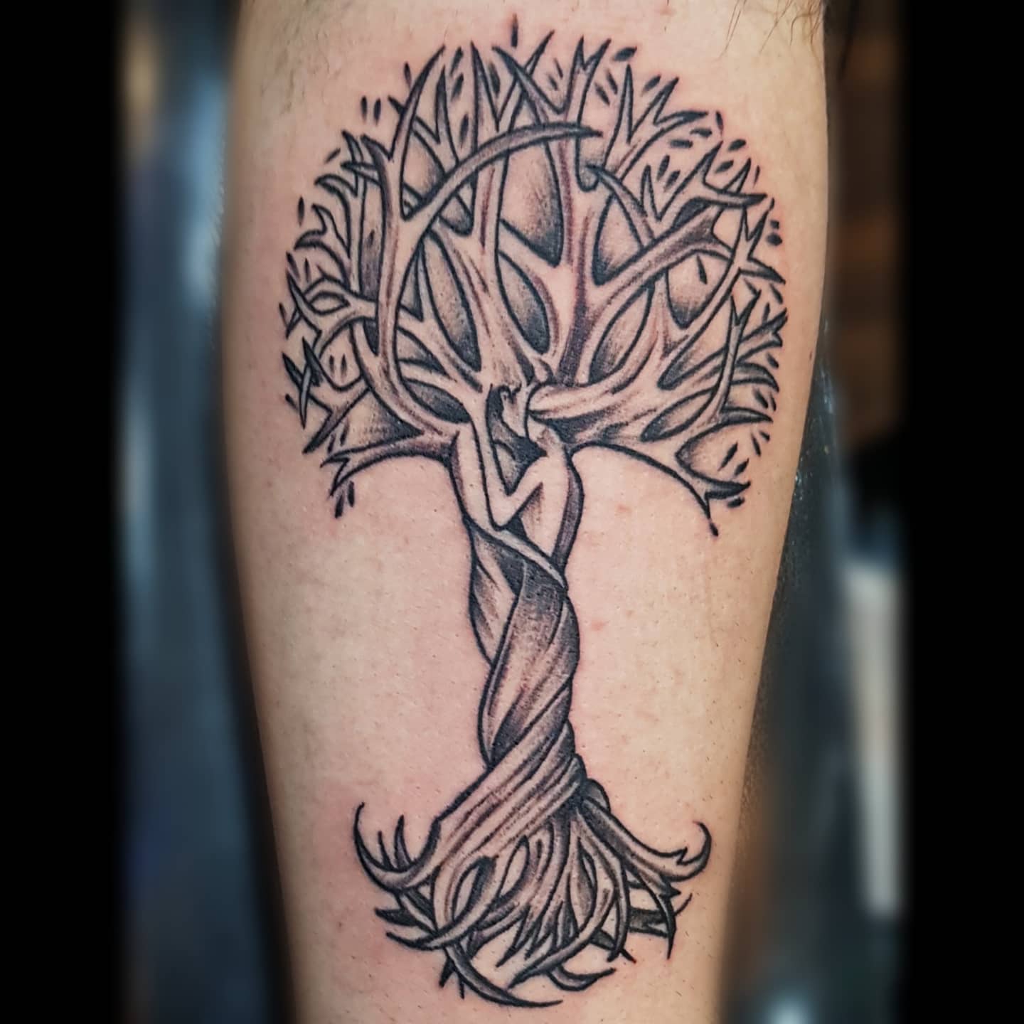 Tree of life Yggdrasil tattoo