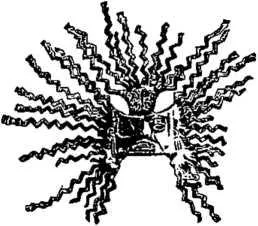 D:\0 wd yedek\acr yedek\1 film indirme\encyclopedia_symbols_roshal\encylopedia_files\000550.jpg