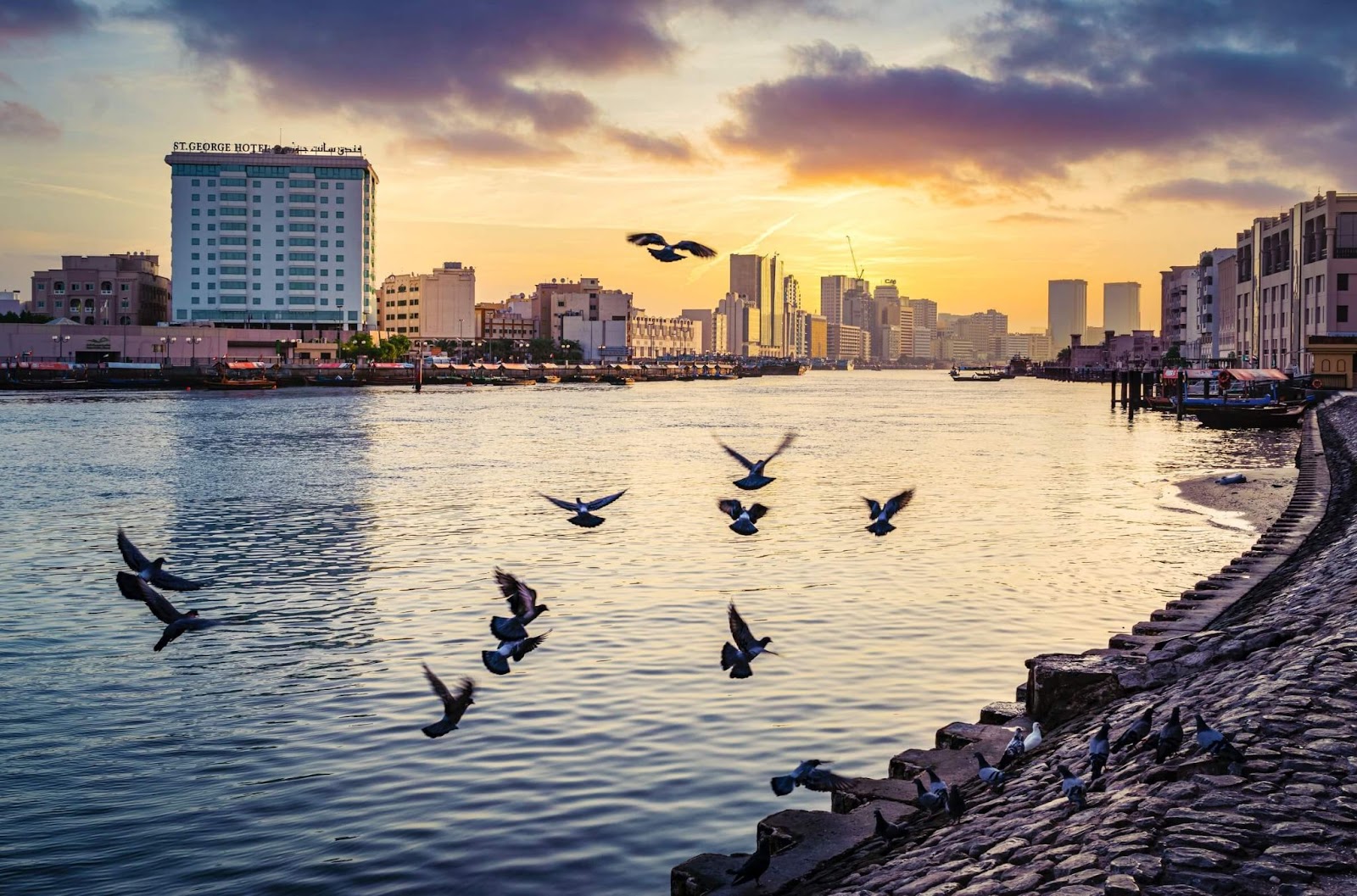 Dubai Creek Harbour, sunset, birds flying