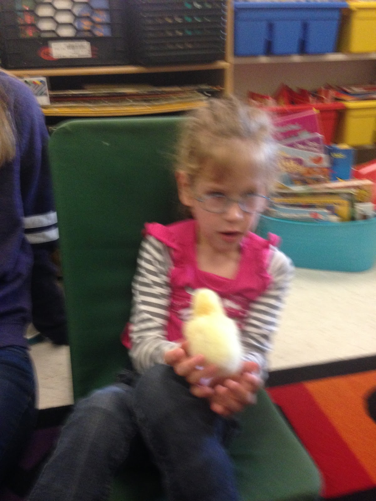 Chicks 11.jpeg