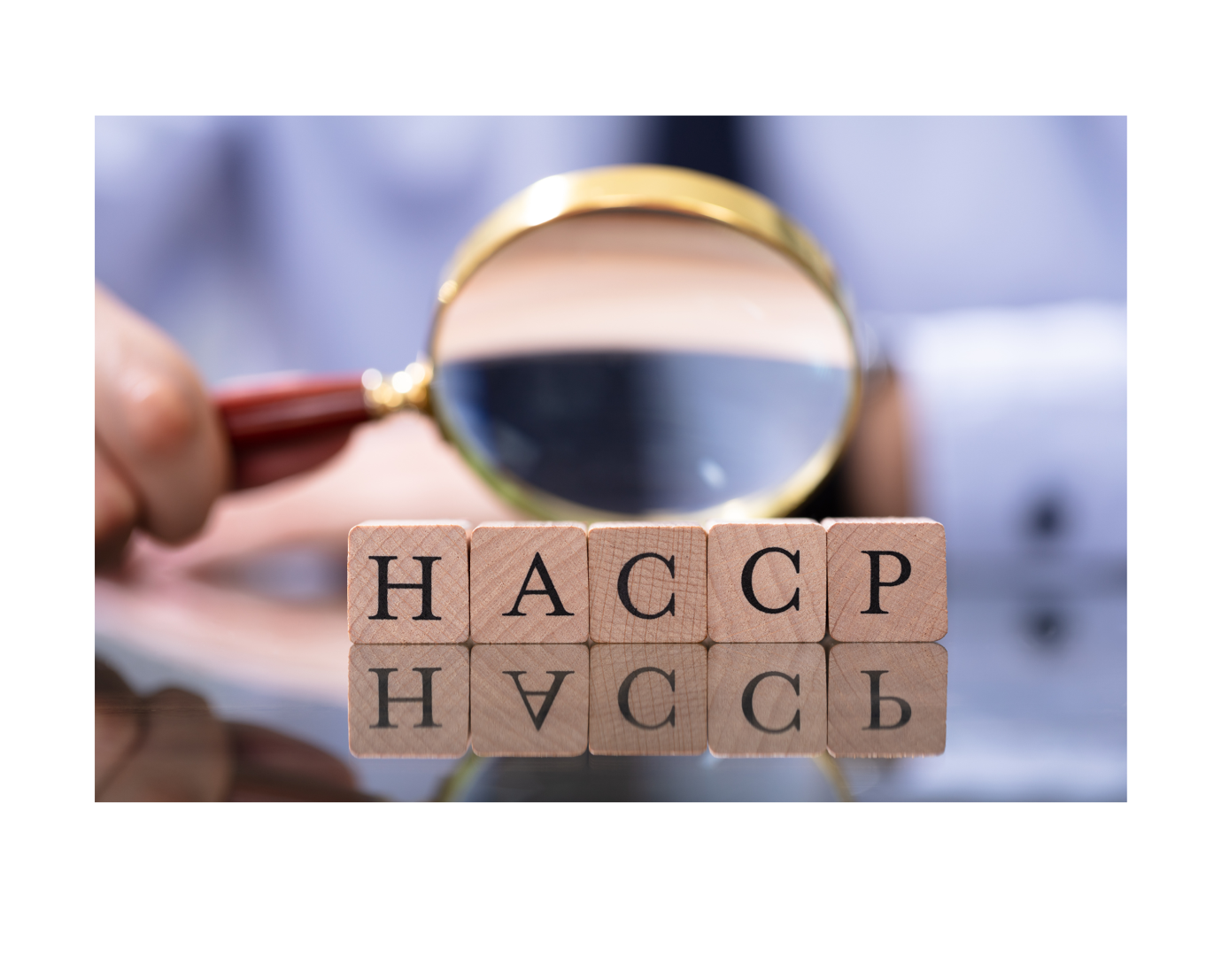 Normes HACCP