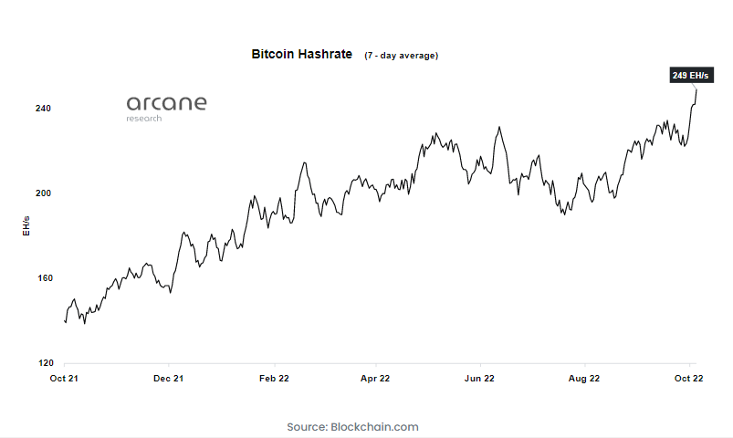 Bitcoin (BTC) Bounces but Uncertainty Still Remains - Wave Count Analysis - Coin
