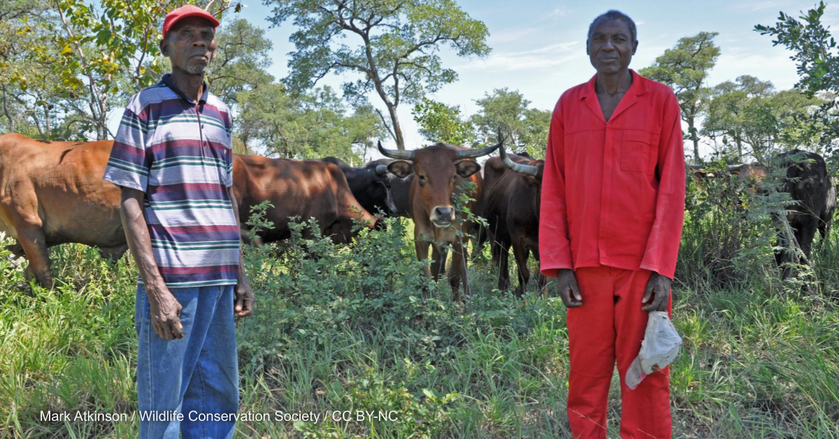 Opinion: Time to reset agriculture's relationship with nature in Africa