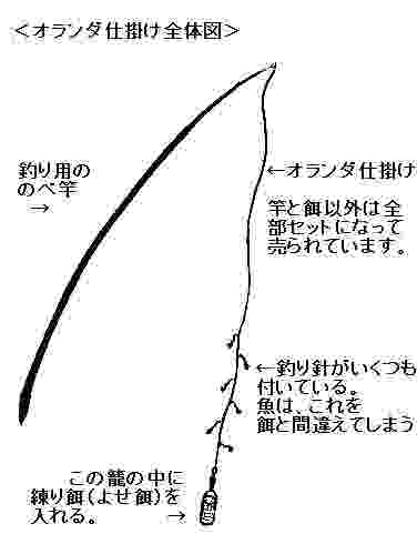 アユ釣りの仕掛けとは 友釣りからオランダ釣りまで 自然とふれあう 渓流 鮎