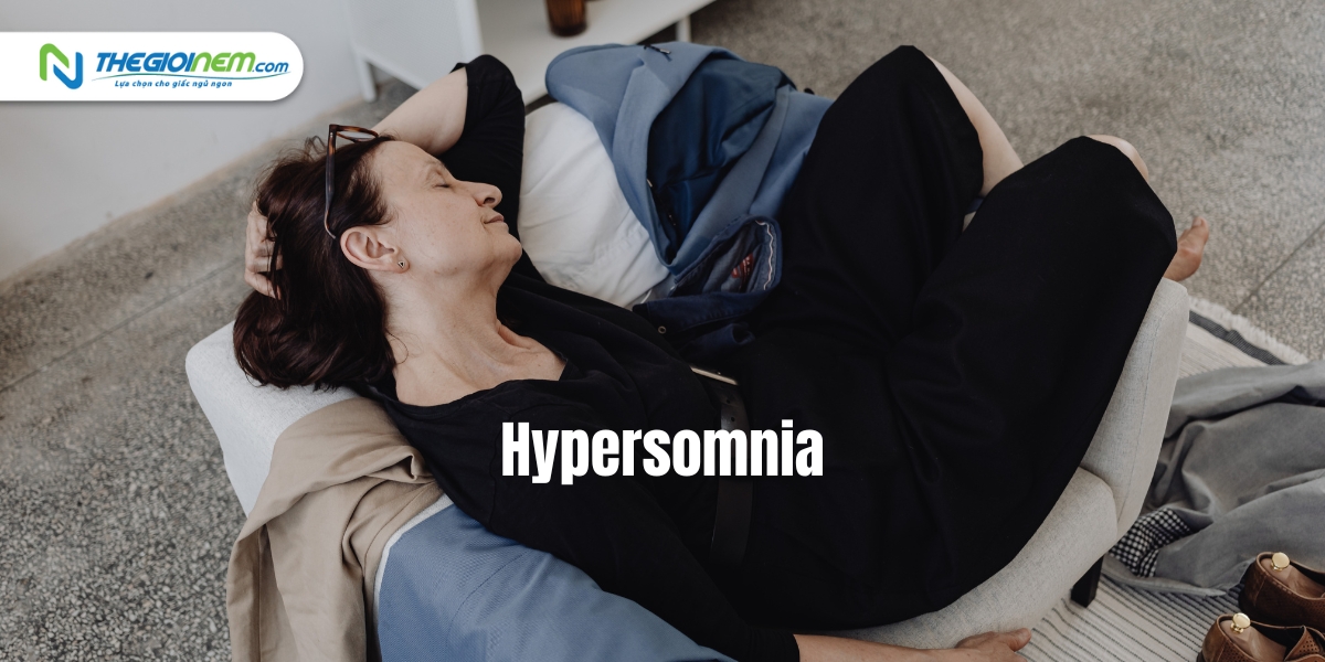 Hội chứng ngủ nhiều (Hypersomnia) - Thế Giới Nệm
