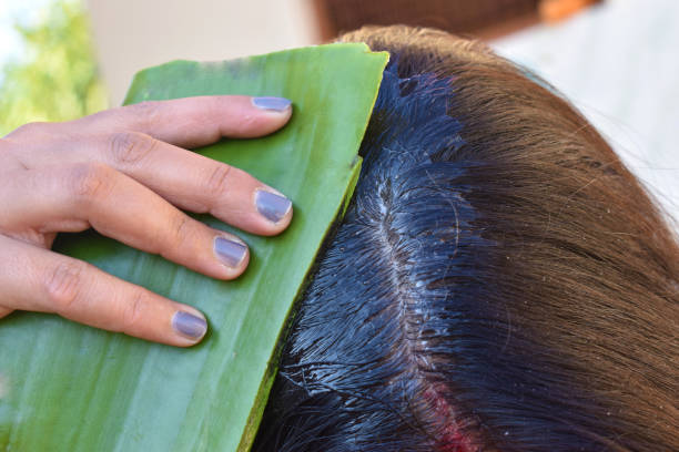 Hair Care with Ayurveda - Best Herbs to Use for Hair Growth