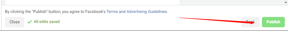 facebook ads publish button