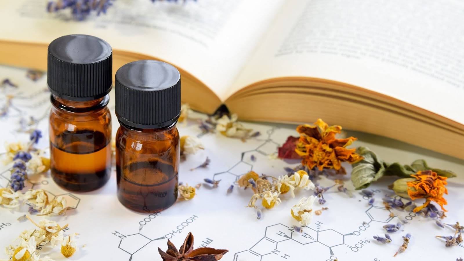holistic aromatherapy courses