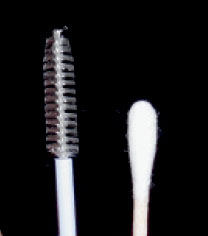 Cytobrushes used for fecal detection of viral enteritis