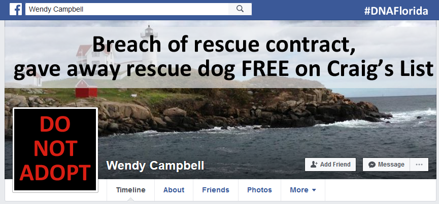 (36)_Wendy_Campbell.png