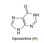 Estrutura hipoxantina