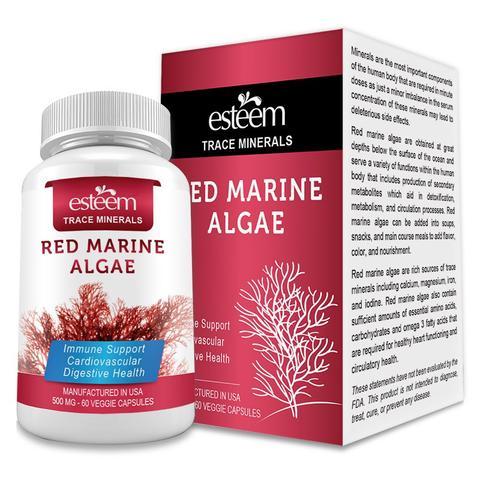 Káº¿t quáº£ hÃ¬nh áº£nh cho Táº£o Äá» Esteem Red Marine Algae