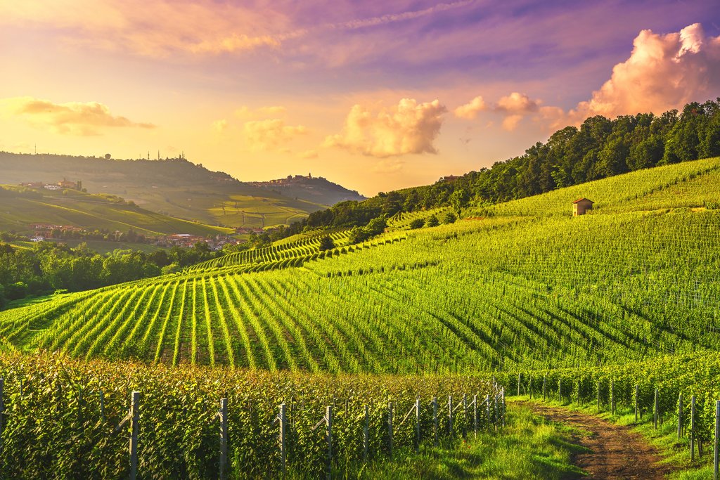 Wine Regions in Italy: Scenery, Cities, and Signature Wines | kimkim