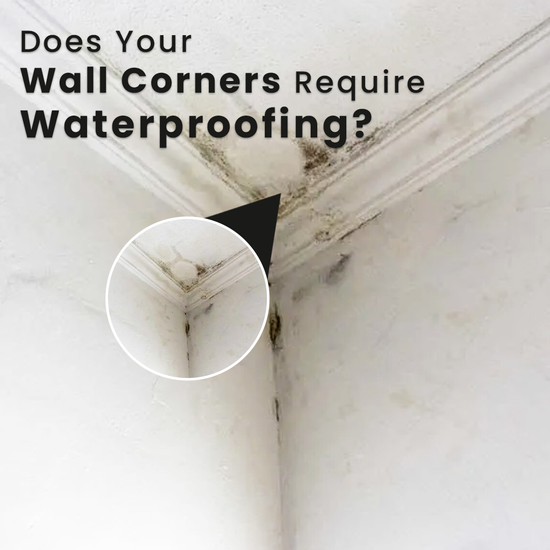Why Does Your Wall Corner Require Waterproofing