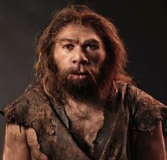 Escultura para representação: Homo Neanderthalensis (Neanderthal): em... |  Download Scientific Diagram