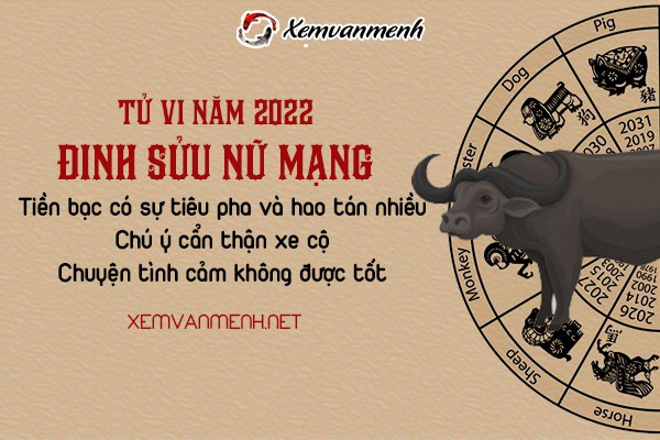 tu-vi-tuoi-dinh-suu-nam-2022-nu-mang-1997