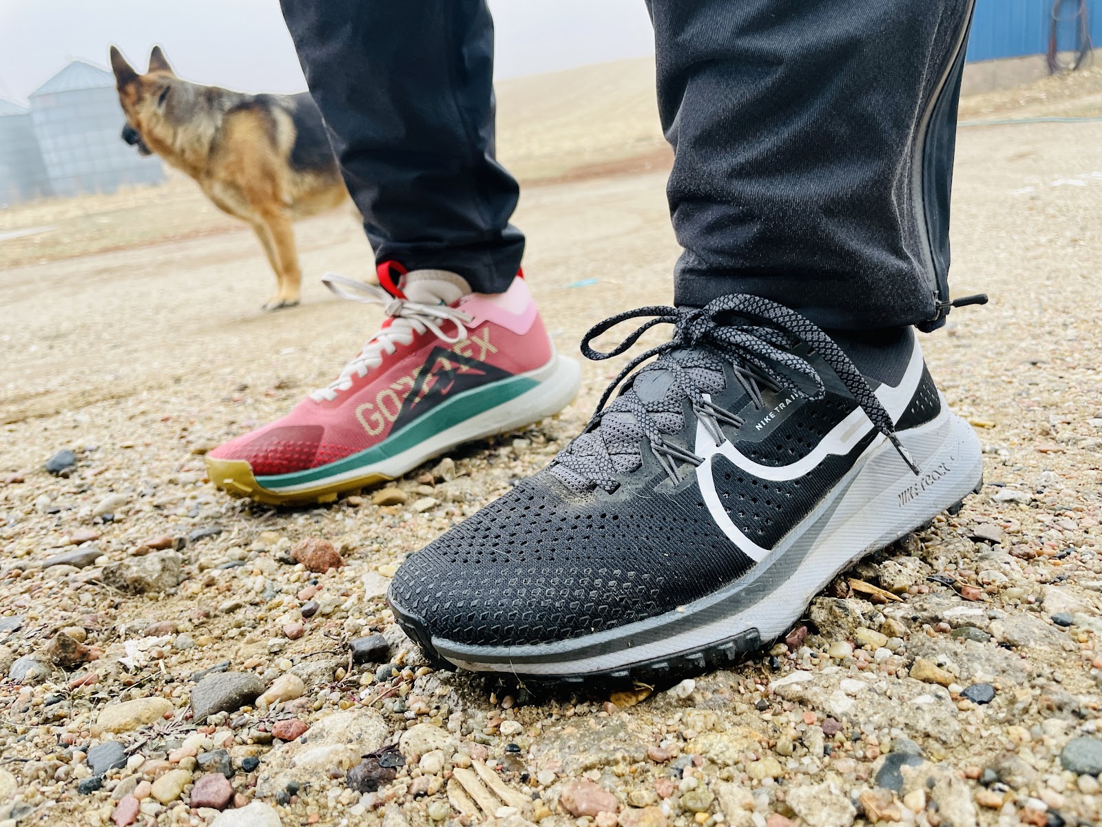 Nike react pegasus trail 4 gore tex men