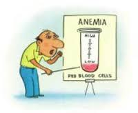 Resultado de imagem para anemia ferropriva
