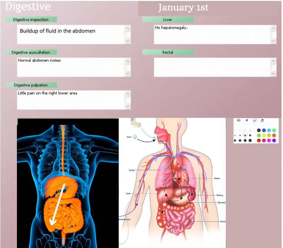 Graphical user interface

Description automatically generated