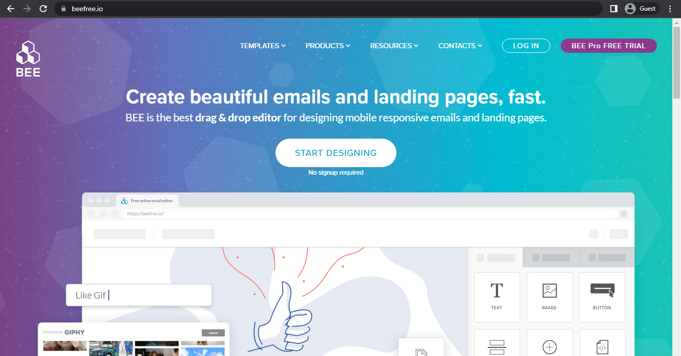 bee landing page