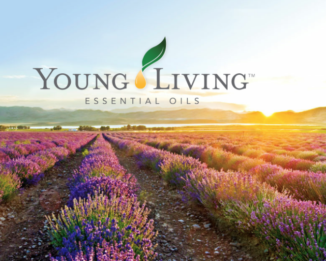 Young Living Review 2019: What is Young Living About? Are Young Living Essential Oils Worth The Money?