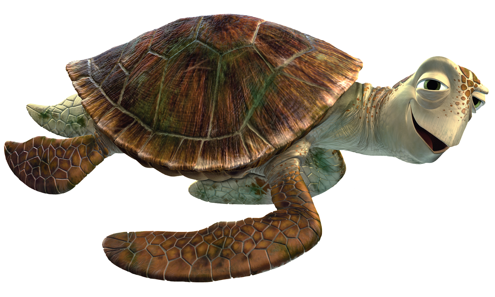 Image result for Crush turtle