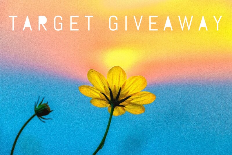 $100 Target Gift Card Giveaway $100 Target Gift Card Giveaway