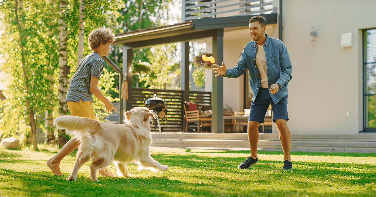 dog playing outside with man and boy