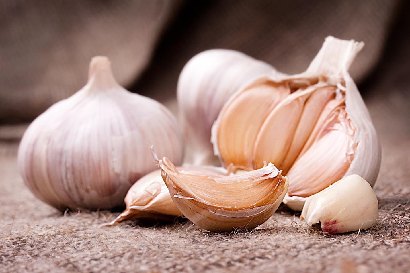 D:garlic 2.jpg