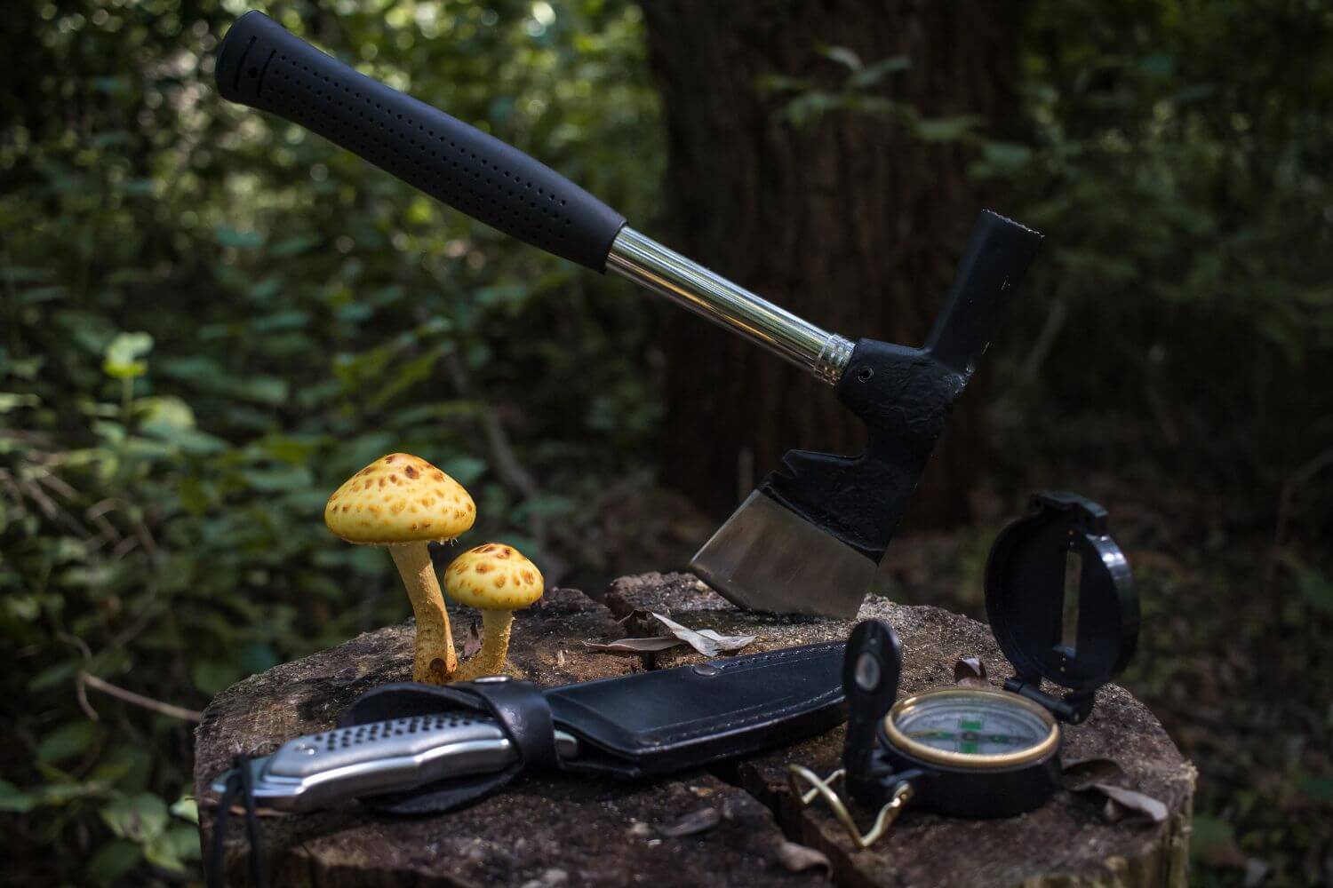 Survival camping gear placed on a tree stump next to two yellow mushrooms