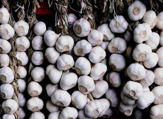 garlic health 4