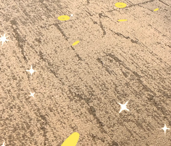画像 ポケモン相棒の写真��撮り方 208379-ポケモン相棒の写真の撮り方