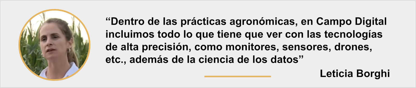 Comentario de Leticia Borghi en FieldView