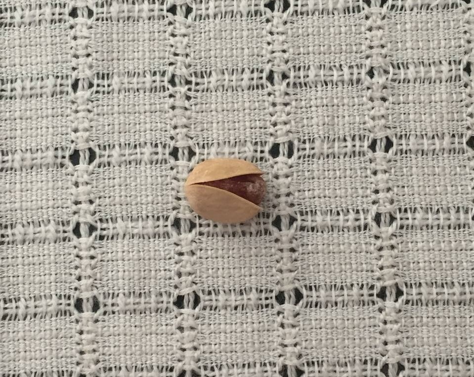 Shelled Macedonian pistachio