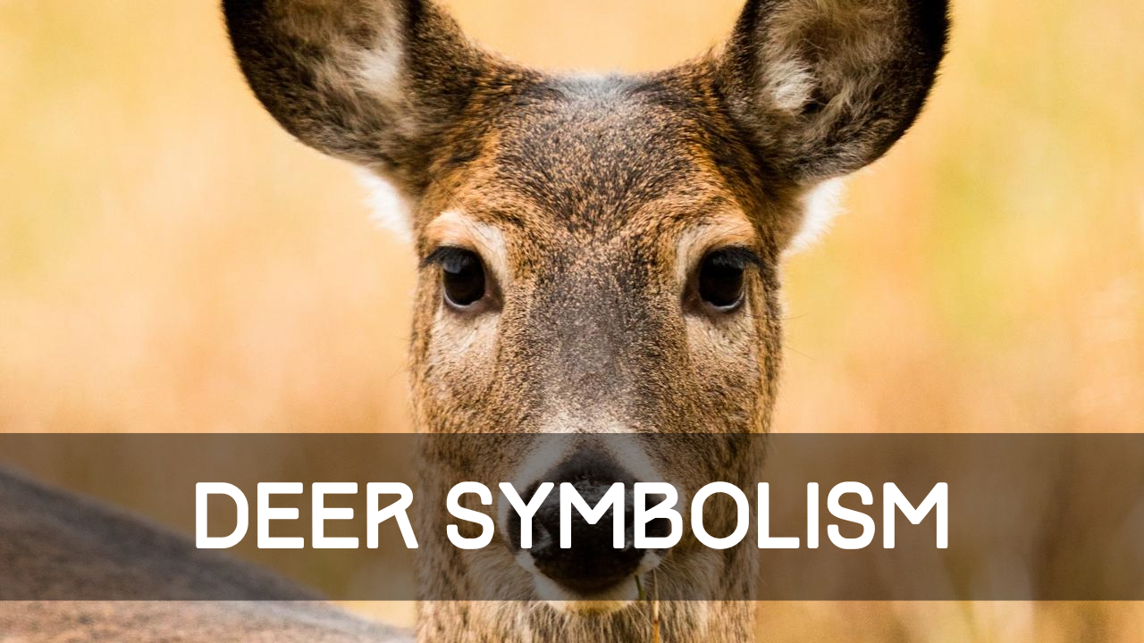 Deer Symbolism