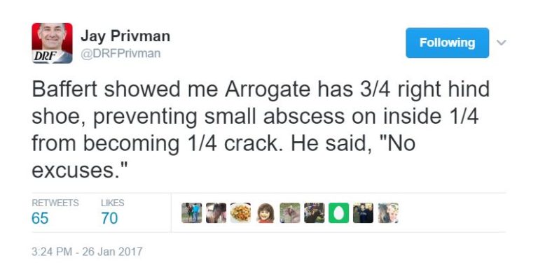 Arrogate three quarter shoe twitter Jay Privman