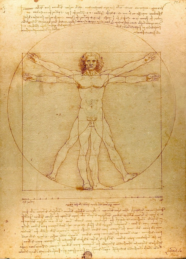 leonardo da vinci vitruvian man