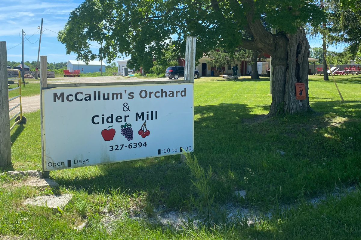 Street View Of Mccallum's Orchard &Amp; Cider Mill.