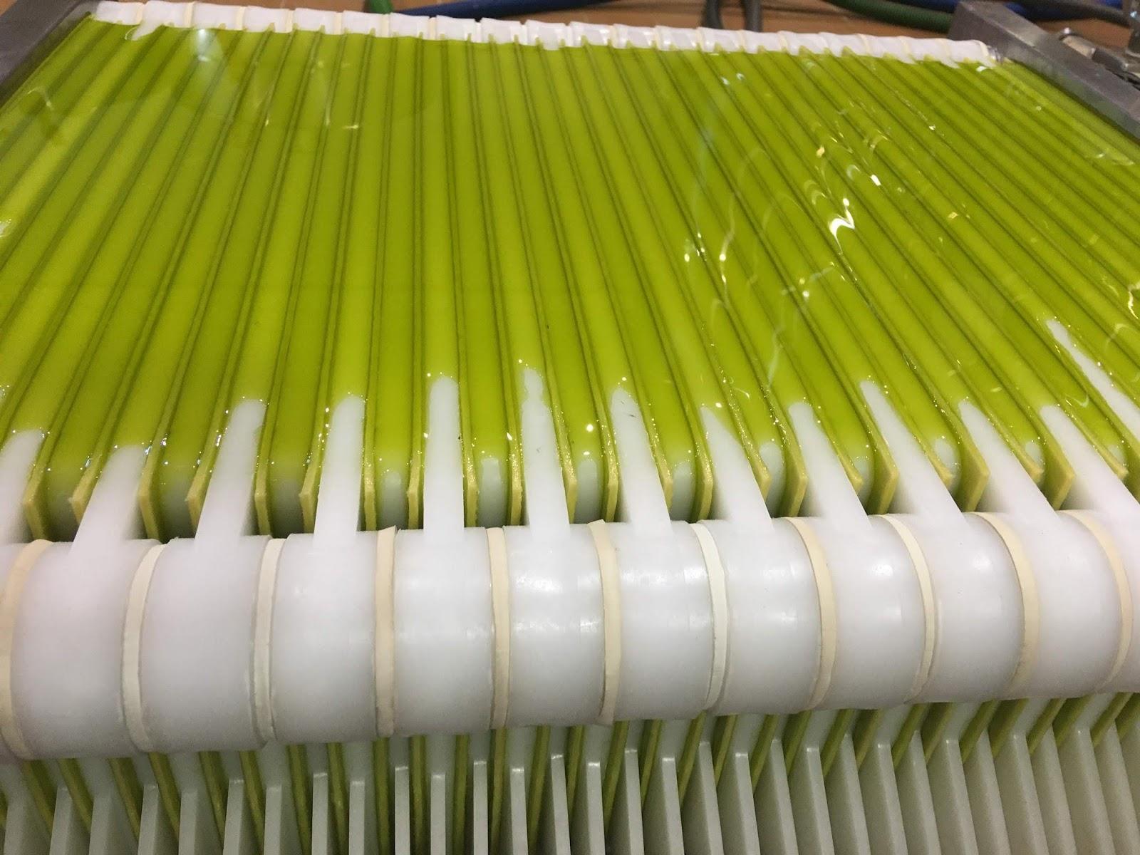 Proceso de filtrado aceite de oliva