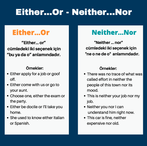 İngilizcede Either, Neither Kullanımı ve Örnek Cümleler | Özel Ders Alanı