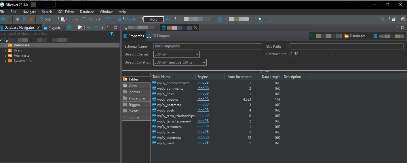 Panduan Remote Database MySQL dengan DBeaver